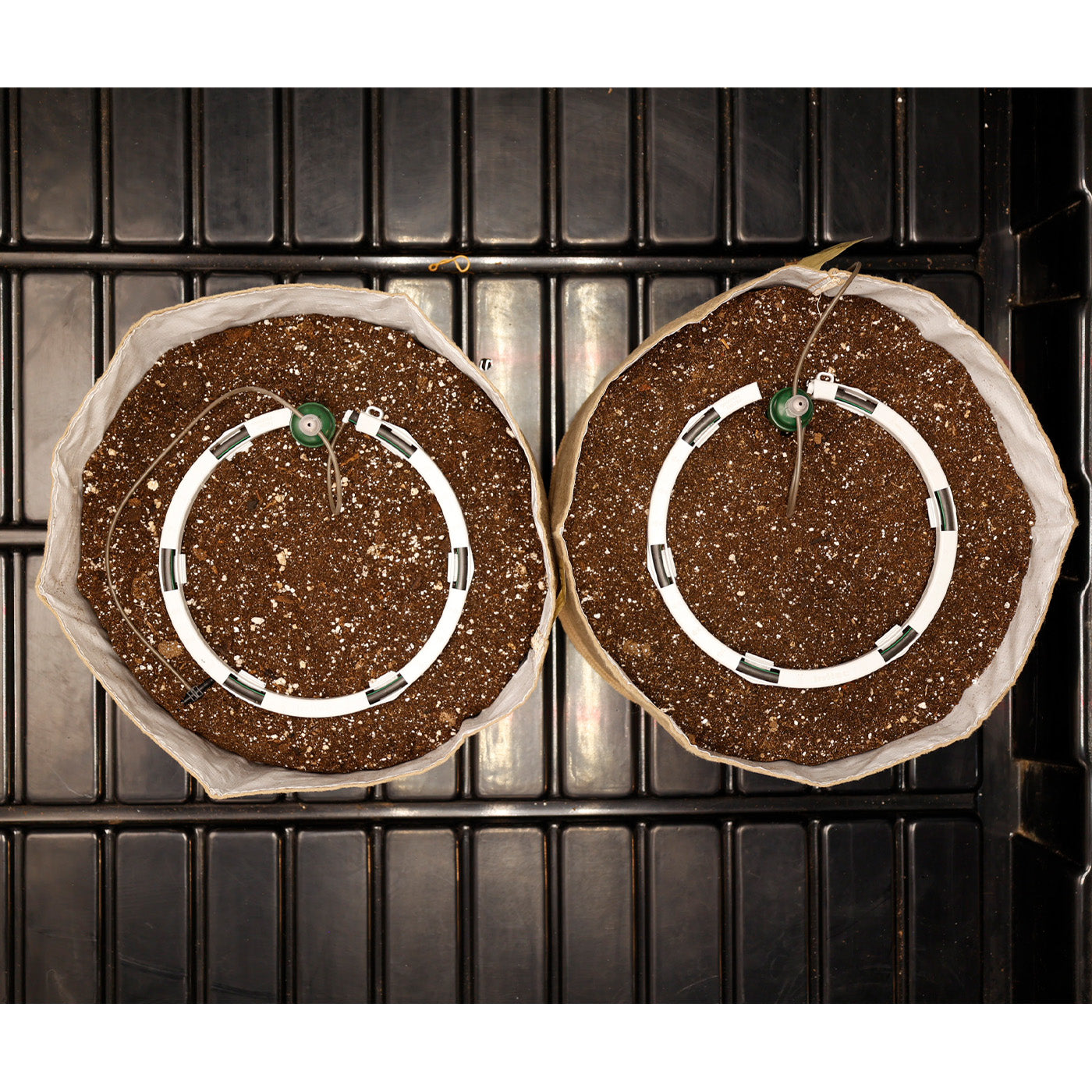 Preset Blumat Grow Tent Irrigation Kit