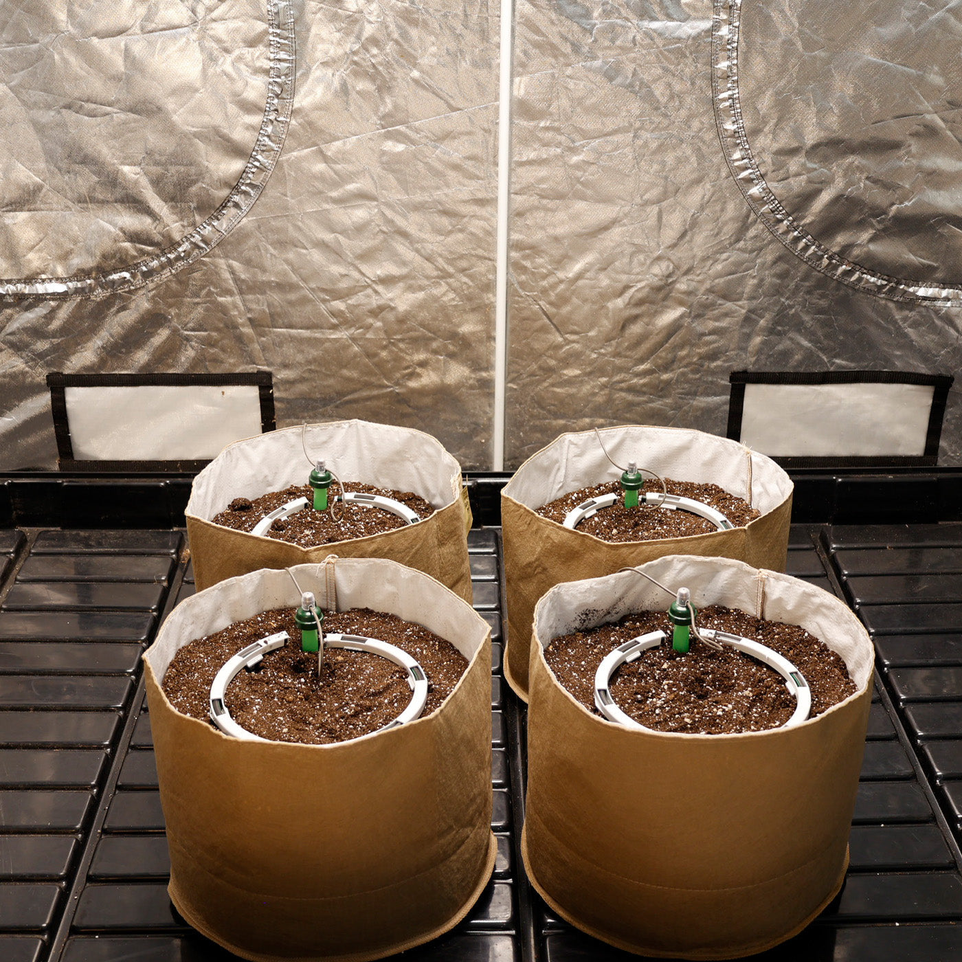 Preset Blumat Grow Tent Irrigation Kit