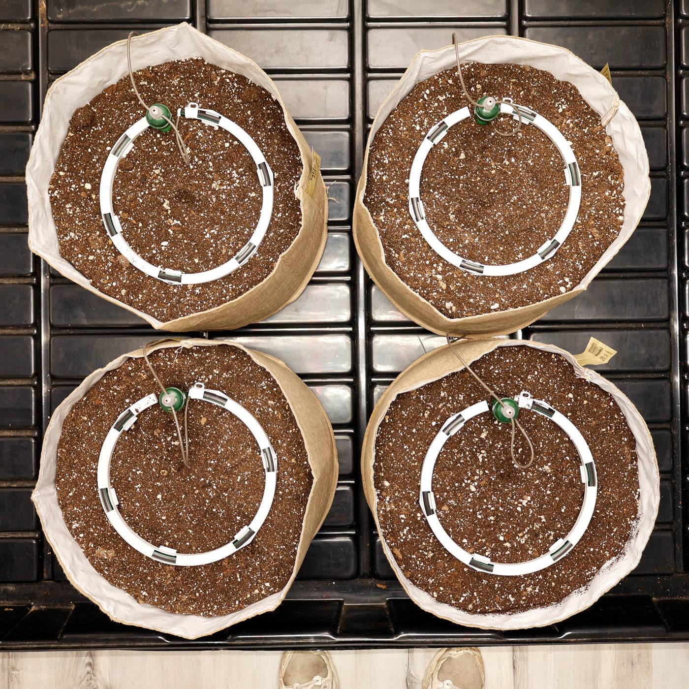 Preset Blumat Grow Tent Irrigation Kit