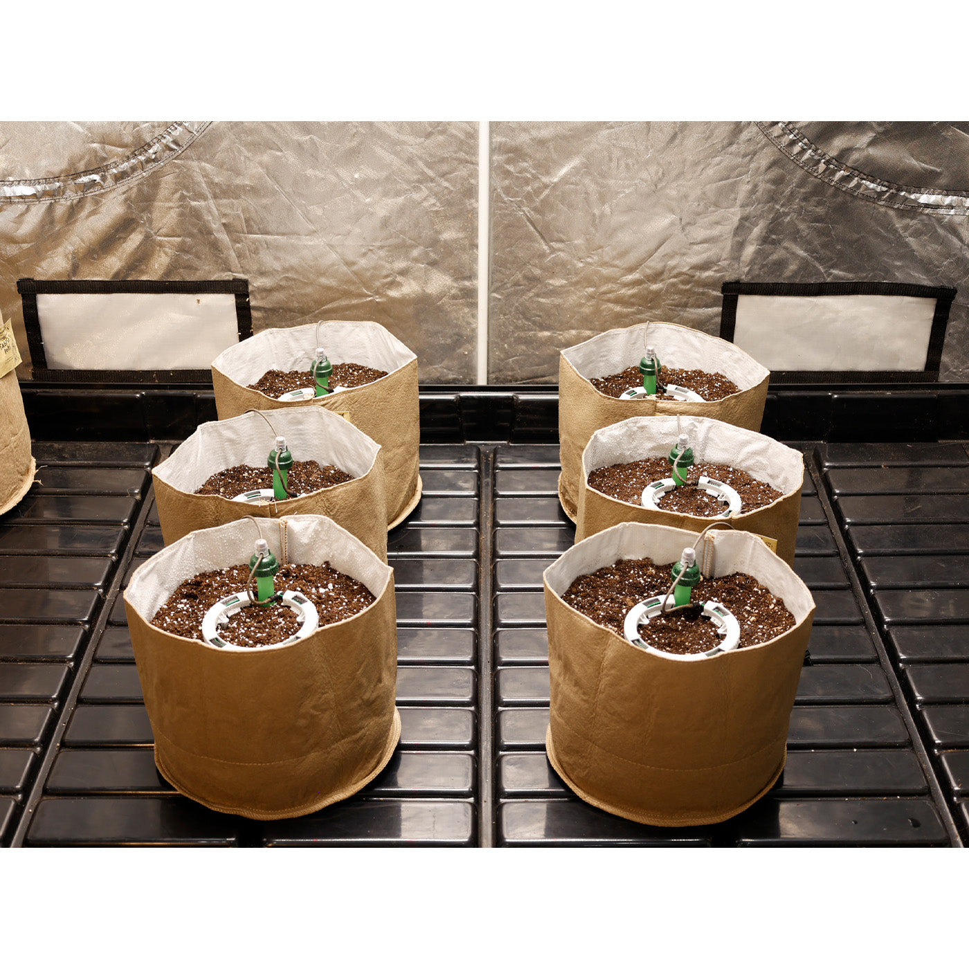 Preset Blumat Grow Tent Irrigation Kit