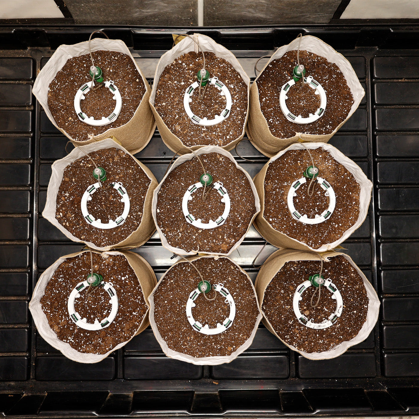 Preset Blumat Grow Tent Irrigation Kit